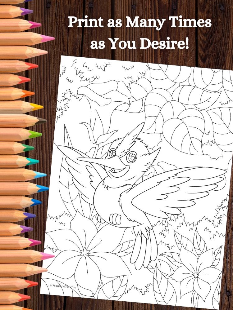 Tropical Birds Printable Coloring Pages product image (5)