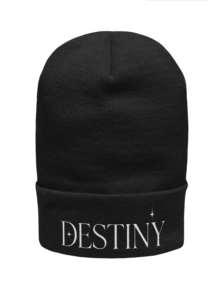 Destiny Beanie product image (1)