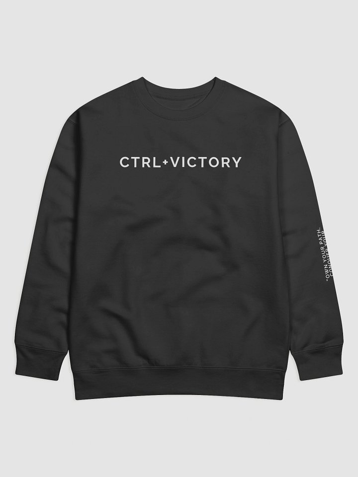 CTRL+VICTORY Crew Neck product image (1)
