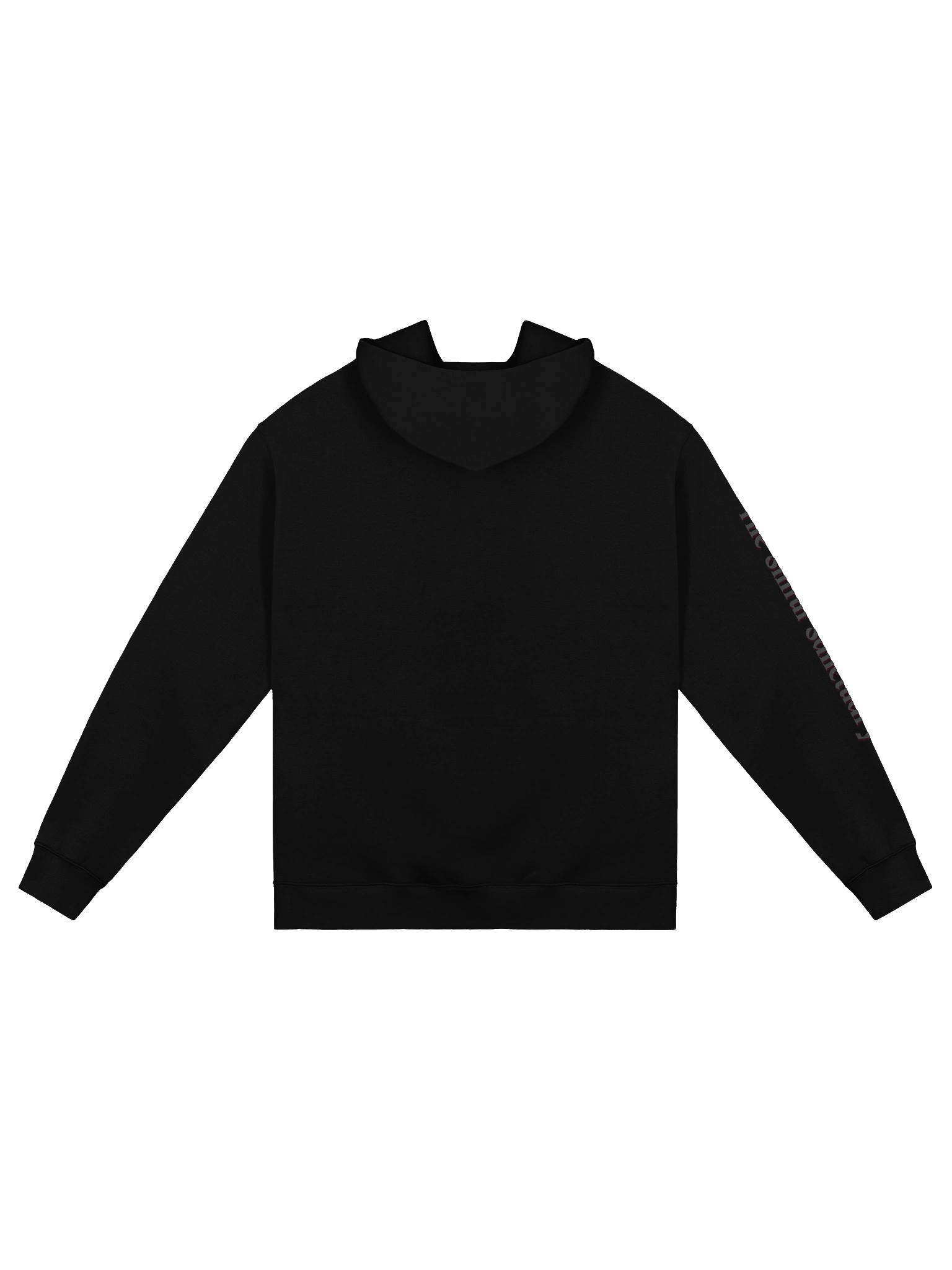 Sanctuary Hoodie product image (2)