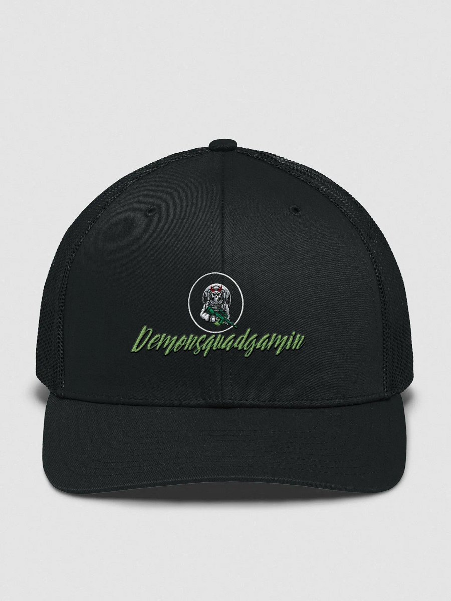 DSG Trucker Hat product image (2)