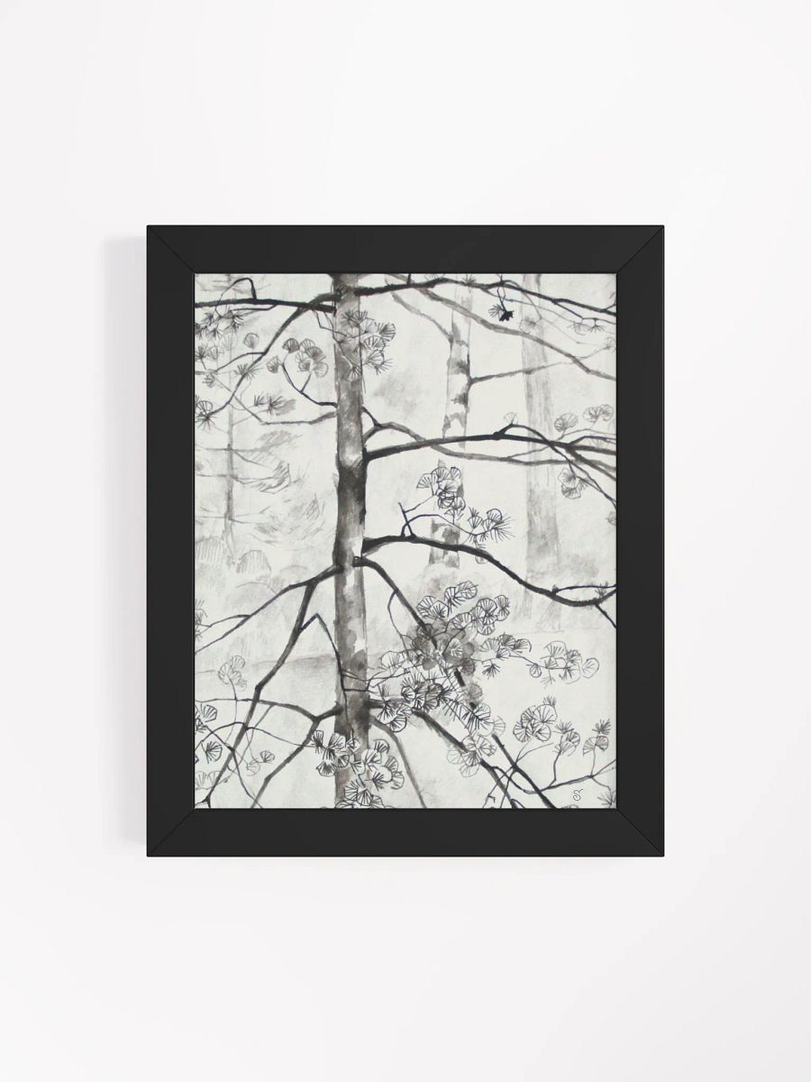 Birch Trees Sketch Framed Poster - Birches product image (12)