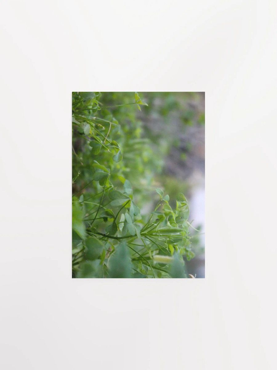 A Study in Flowers 7 product image (7)