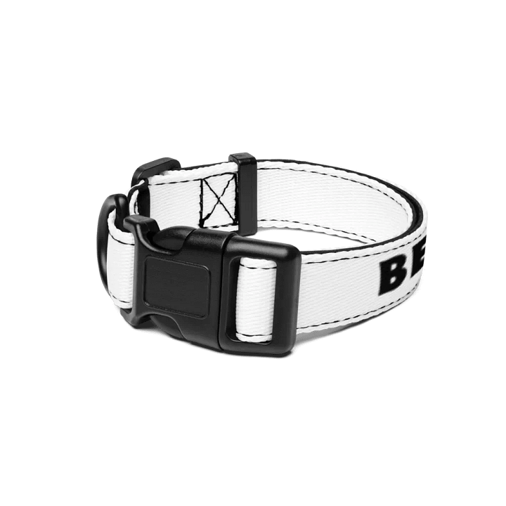 Pet Collar with Heartfelt Words 🤍⚫️ Bella Cuteness Overload product image (1)