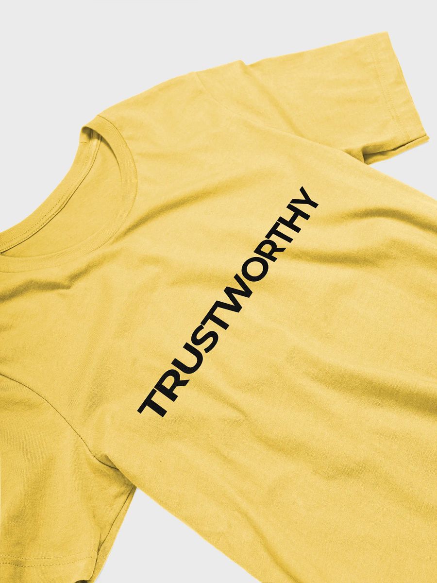 TRUSTWORTHY Human - Spring Shirt product image (3)