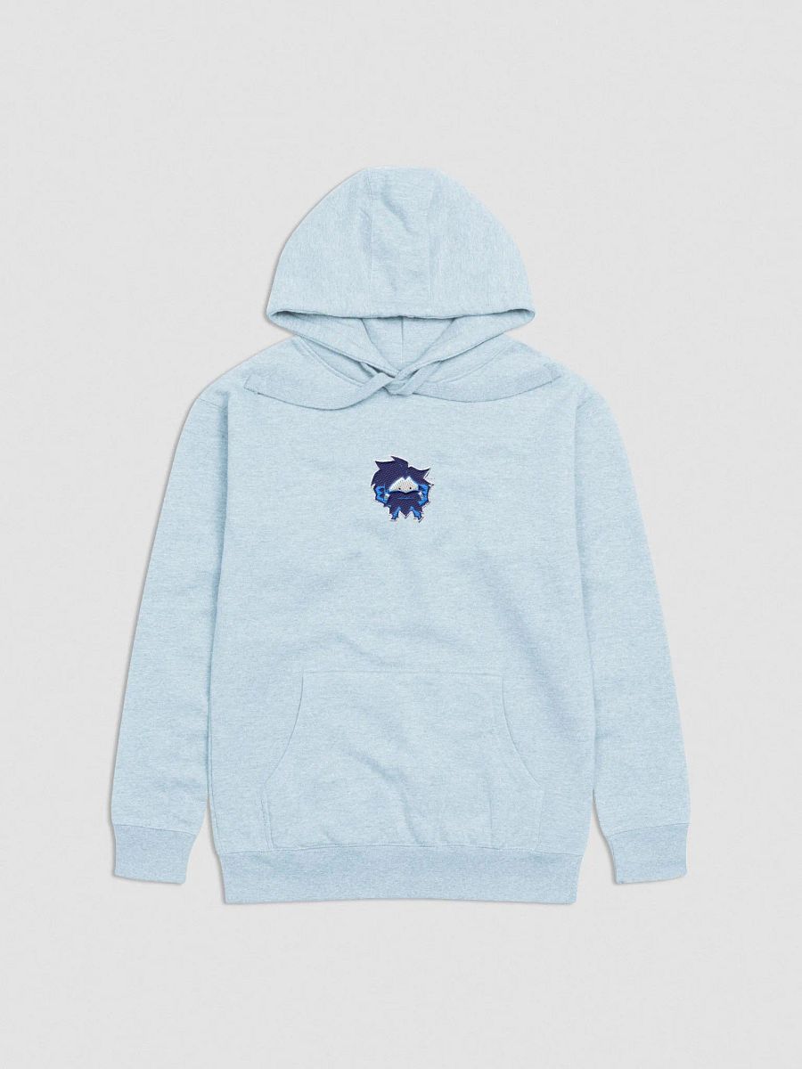STITCHED BRAH FACE HOODIE product image (1)