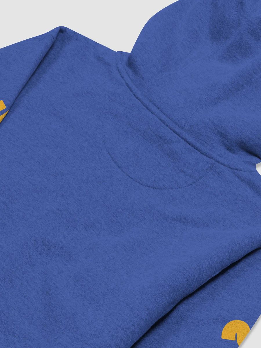 ✧SHINE✧ Unisex Hoodie (Gold) product image (6)