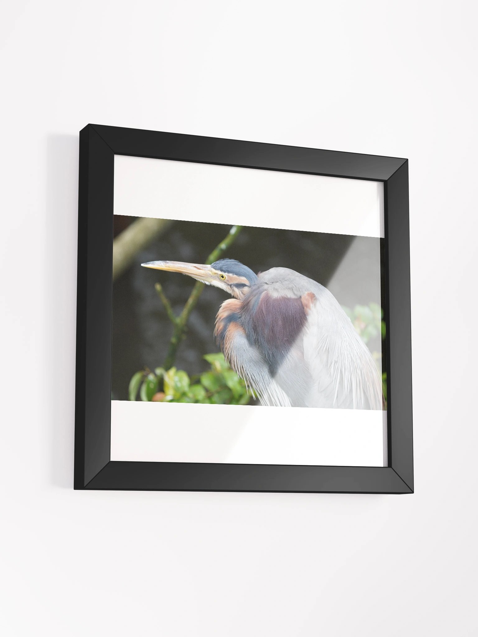Vibrant Ayous Wood Framed Matte Poster product image (14)