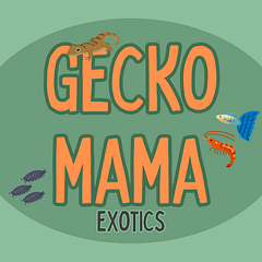 Gecko Mama Exotics