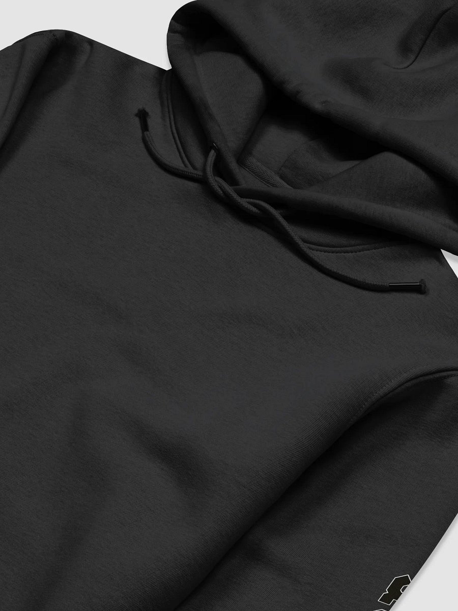 Unisex Essential Eco Hoodie - Black HApex Gear White Logo product image (3)