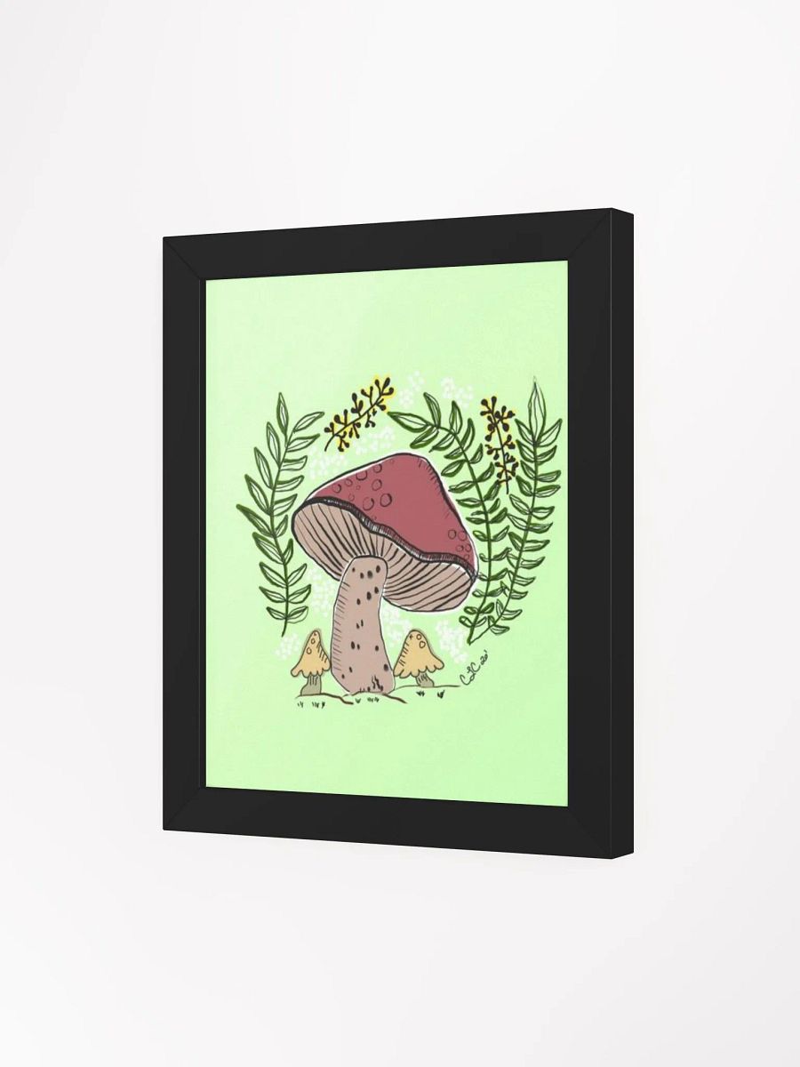Mushy product image (91)