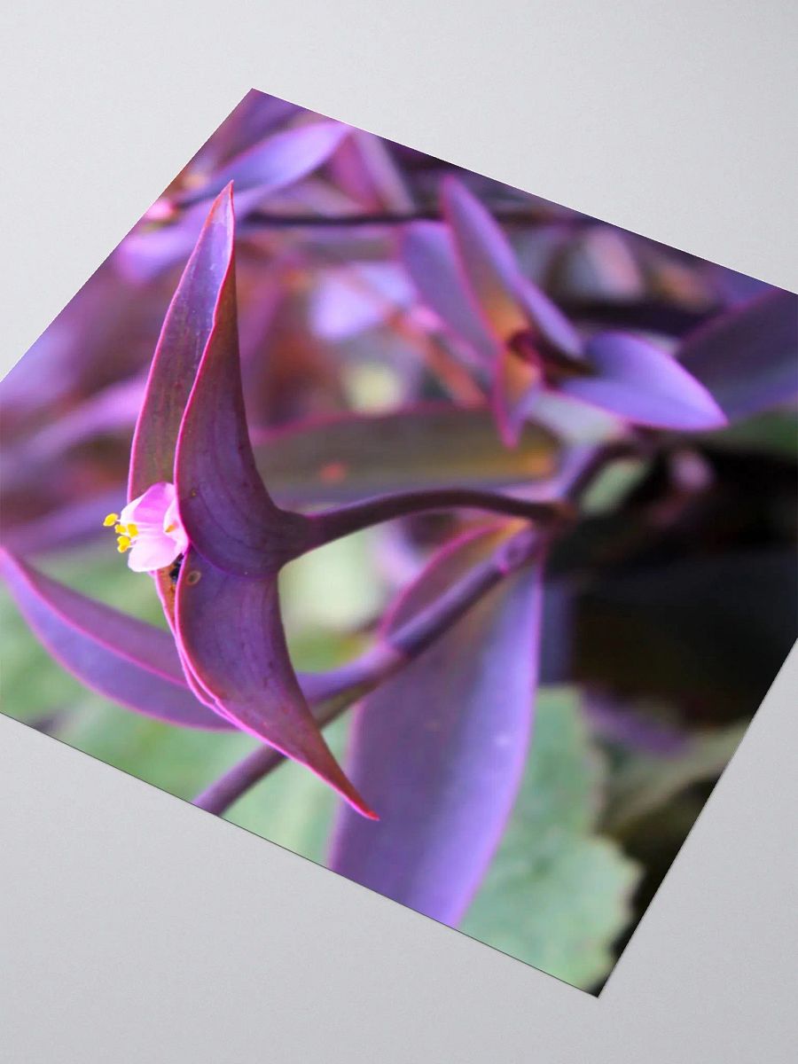 A Study in Flowers 9 - sticker version product image (7)