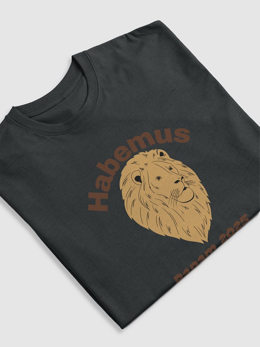 Habemus Papam 2025 Tee product image (9)