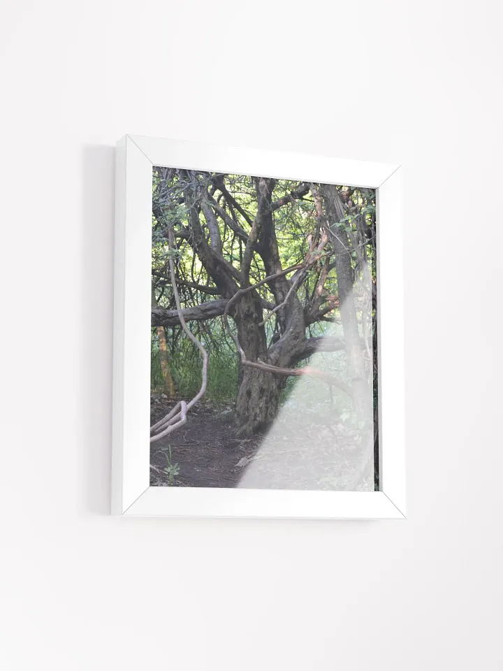 Tree of Branches High Quality Poster product image (11)