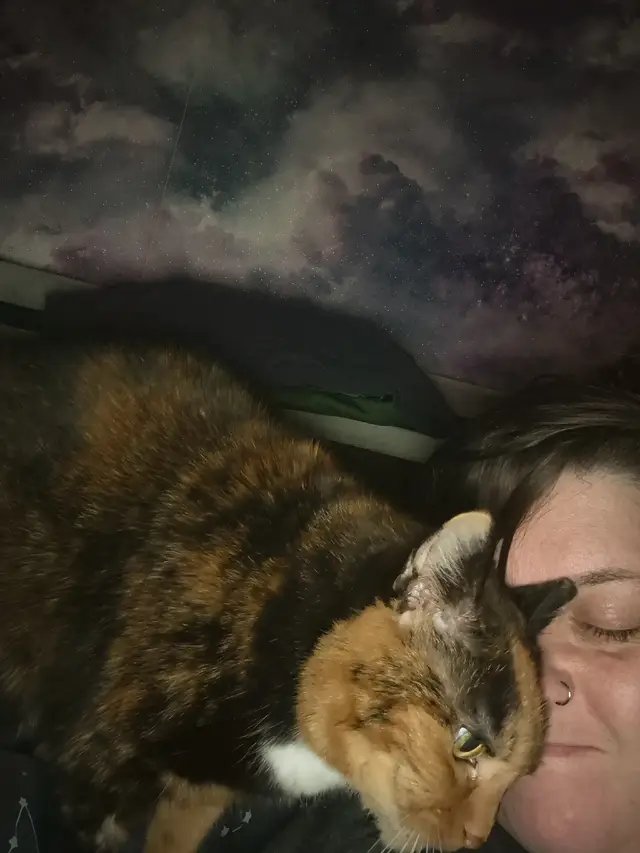 I love my sassy, feisty girl #tortiecat #tortitude 