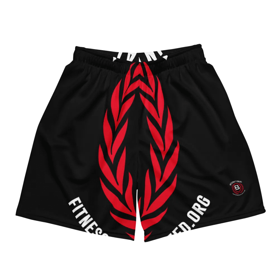 IFBNewsfeed.Org's All-Over Print Recycled Unisex Mesh Shorts product image (2)
