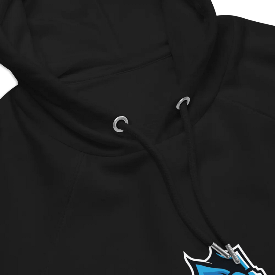 NZMOEY Logo SOL'S Unisex Eco Raglan Hoodie product image (6)