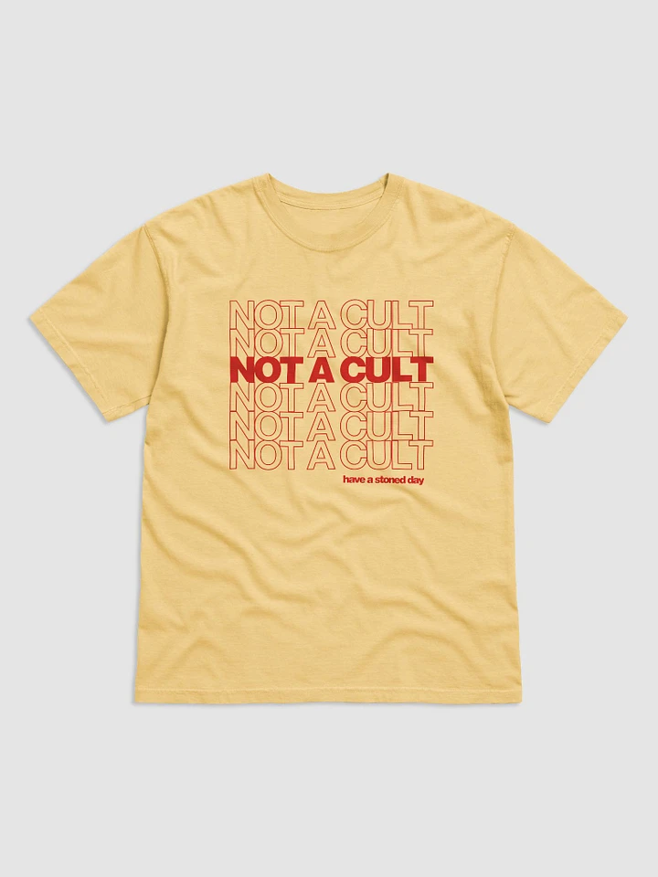Not a Cult T-Shirt product image (1)