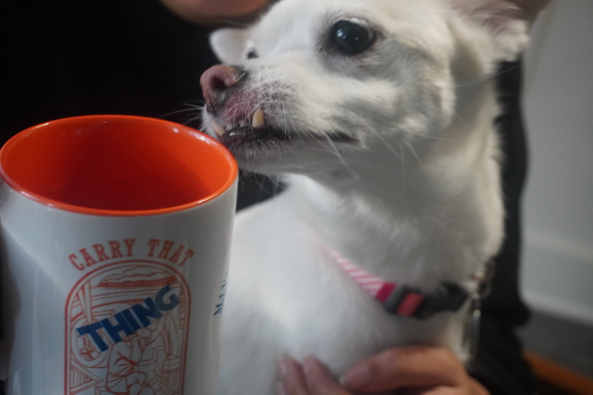 Carry That Mug product image (3)