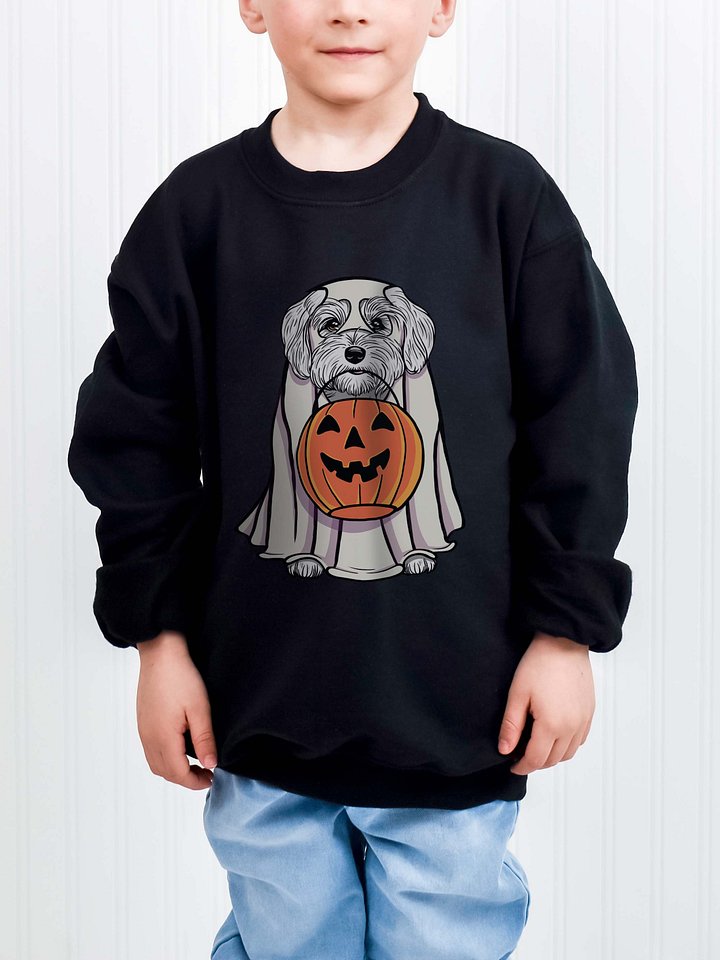 Halloween Havanese(White) Youth Sweatshirt product image (1)