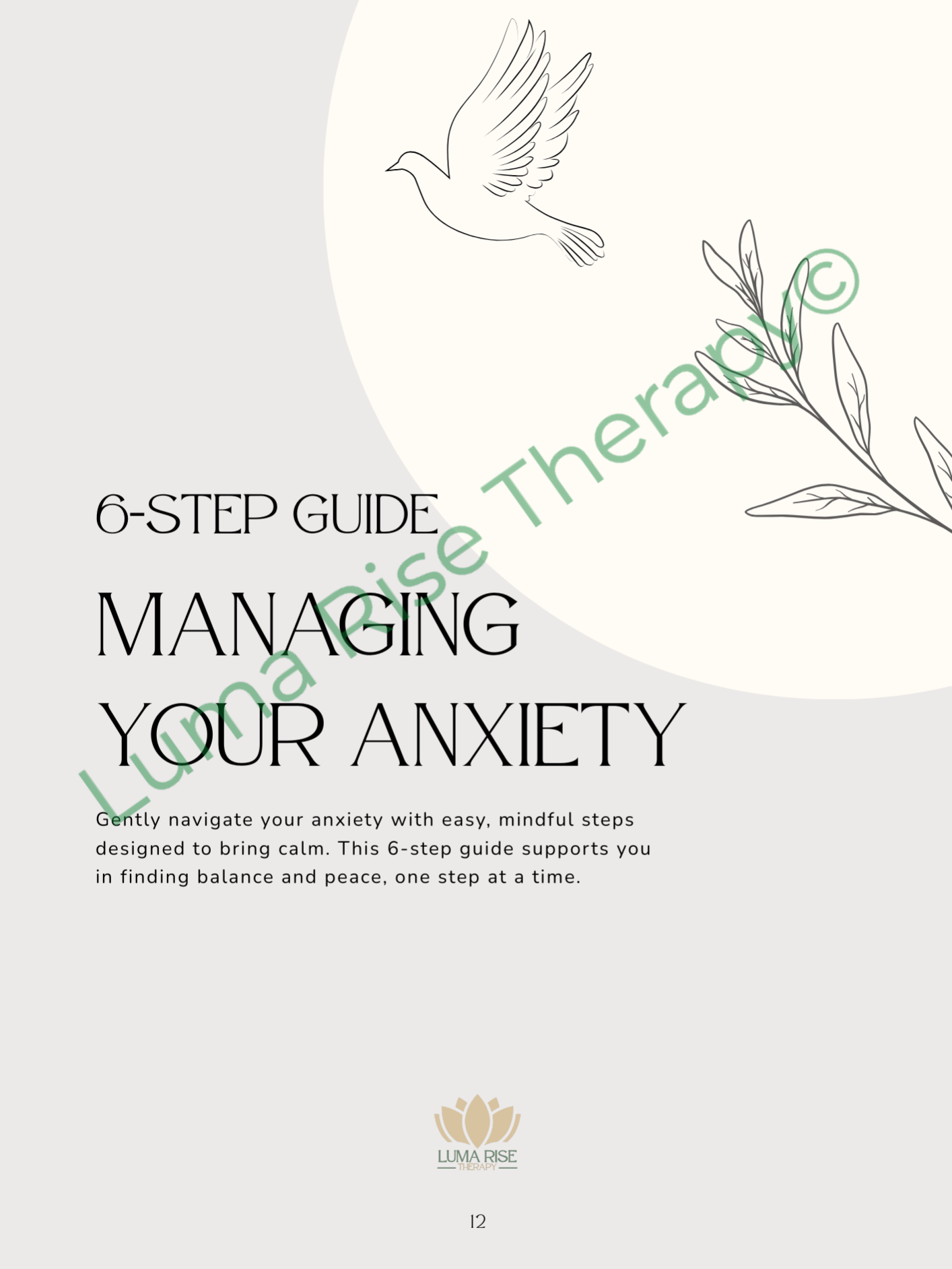 Finding Calm in Chaos: Guided Anxiety Workbook for Adults product image (7)