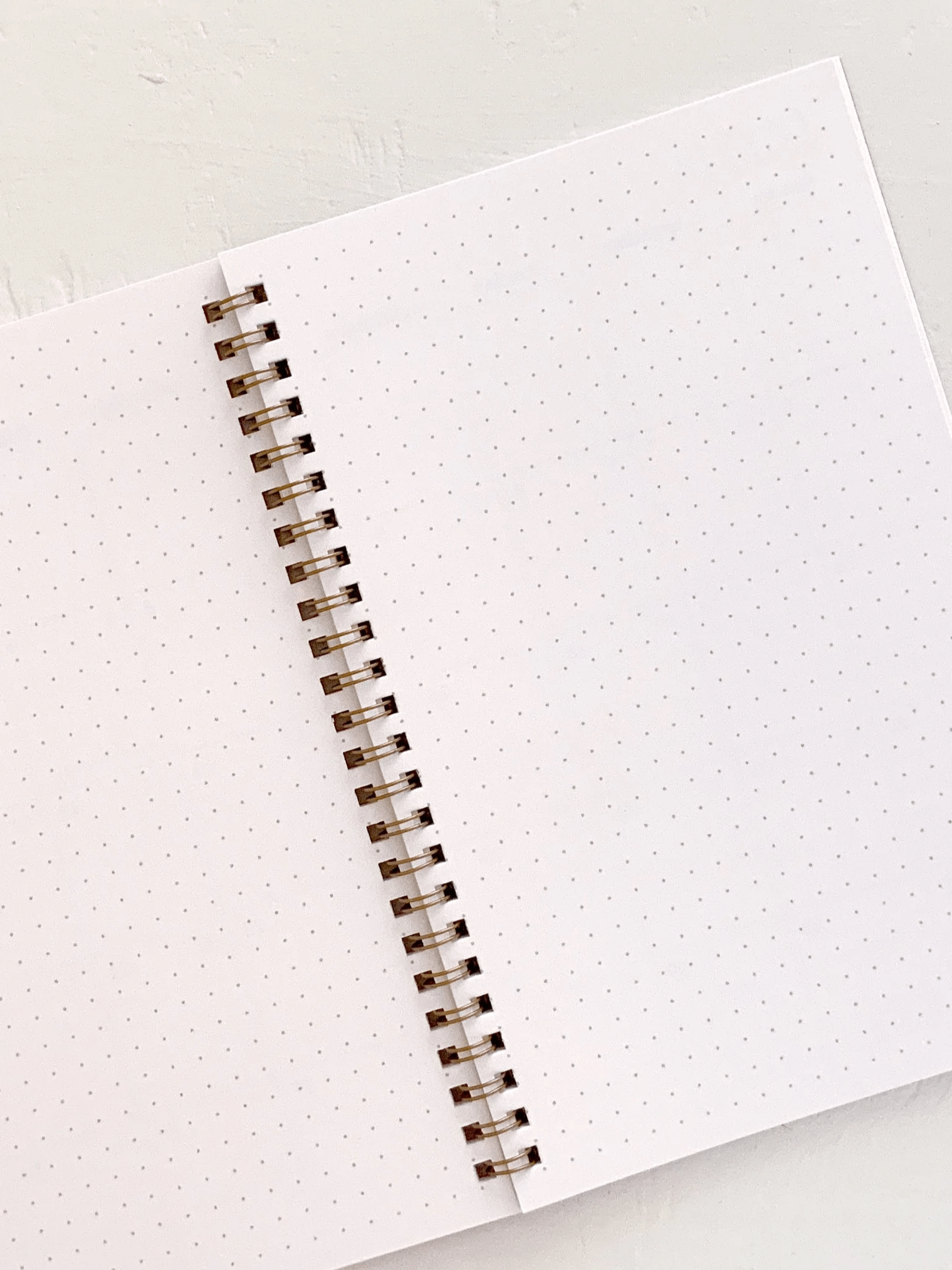 "HE WILL ROAR FROM ZION" Spiral Notebook product image (4)