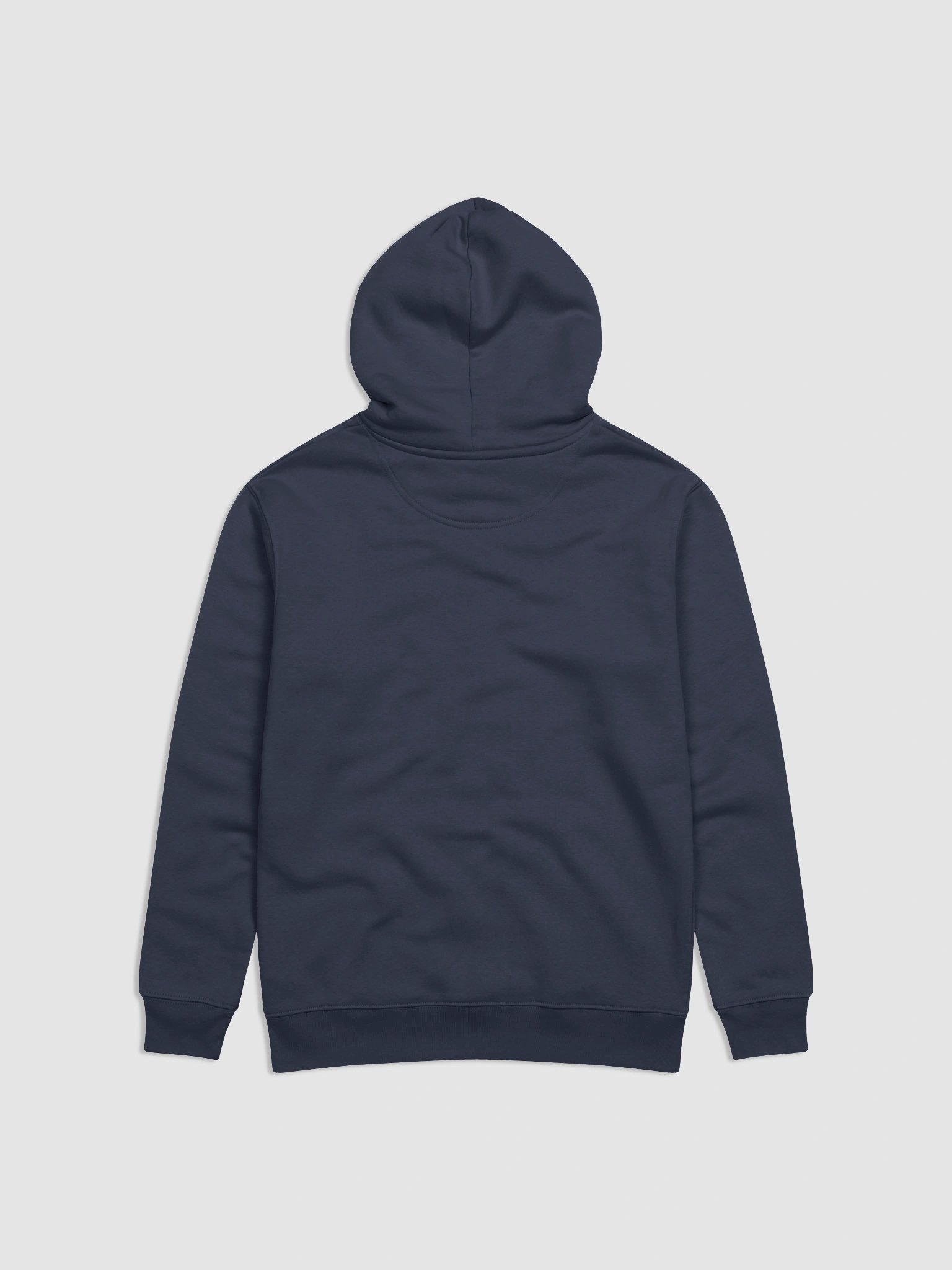 UFO Ultraconservative Family Oriented Hoodie product image (2)