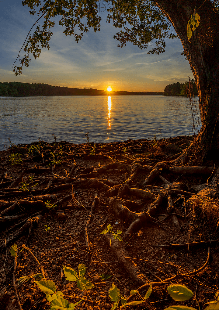 Shenango Lake Sunset product image (2)