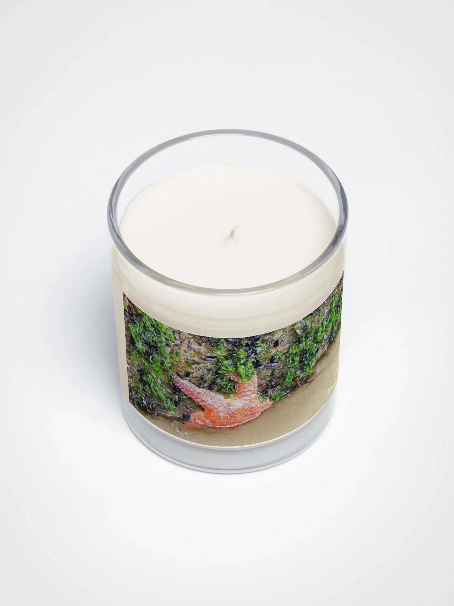 Starfish Soy Candle product image (3)