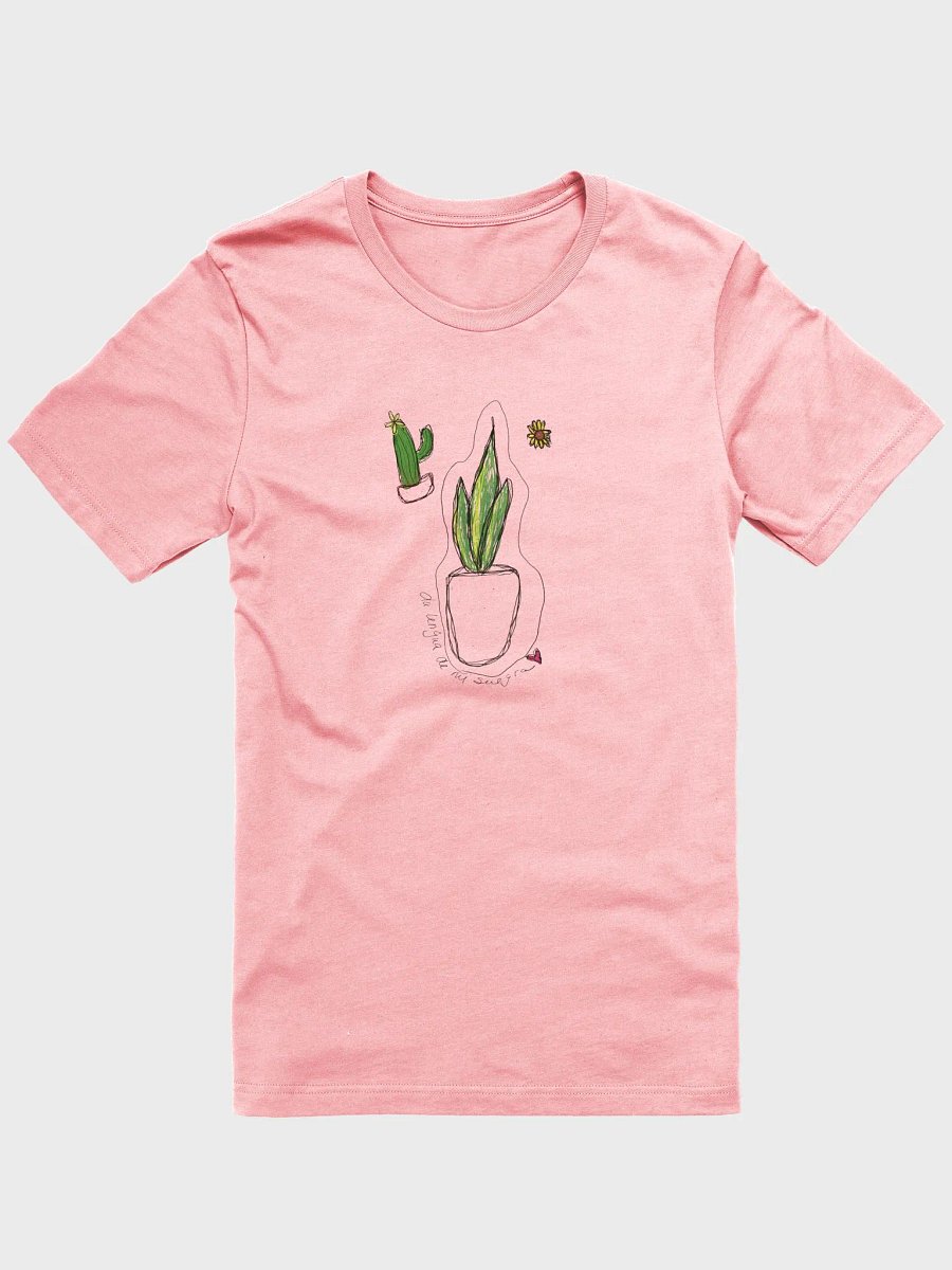 La lengua de mi suegra-(Dracaena trifasciata) product image (1)