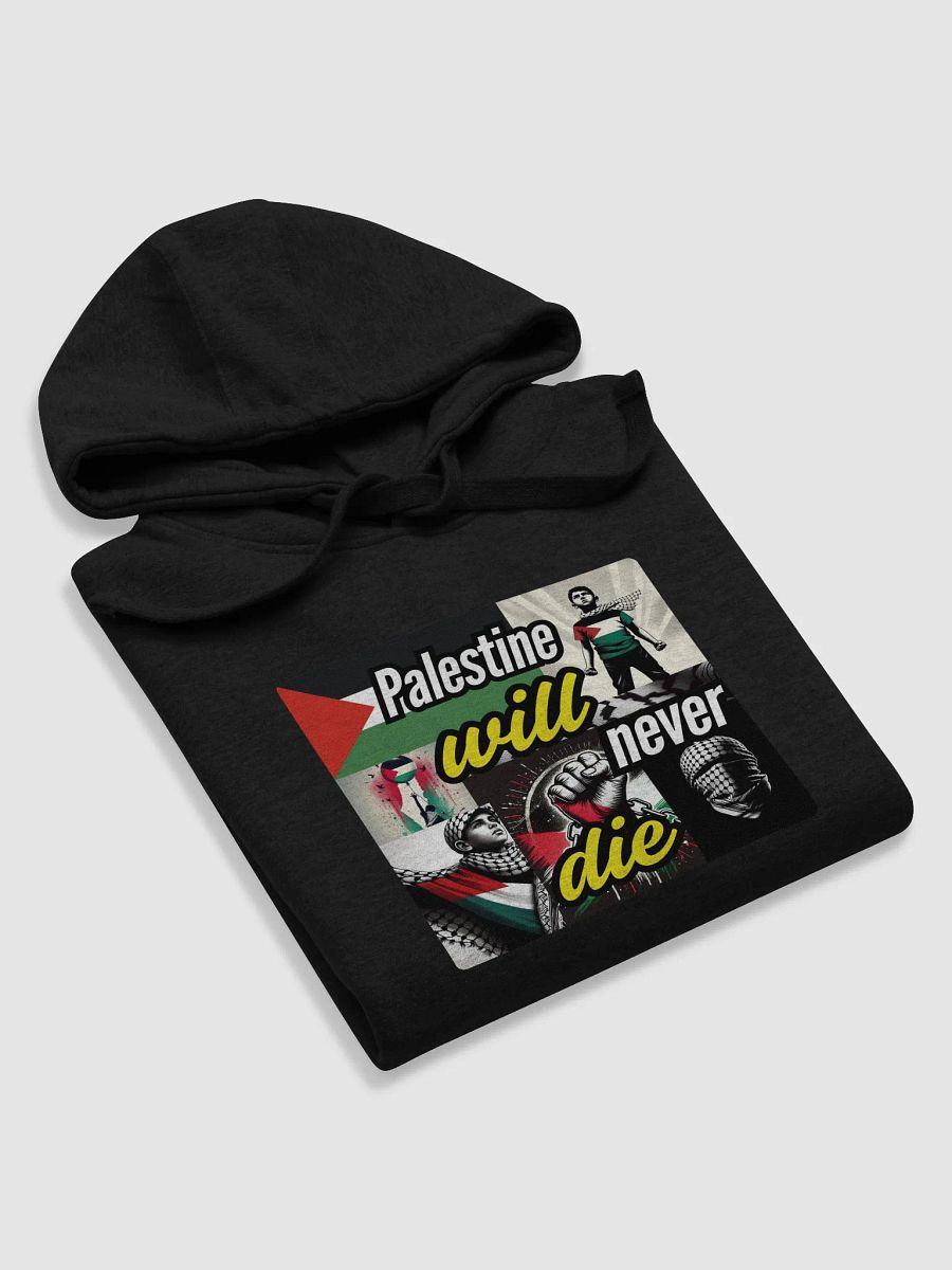 Cozy Comfort Unisex Hoodie | Palestine will never die product image (48)