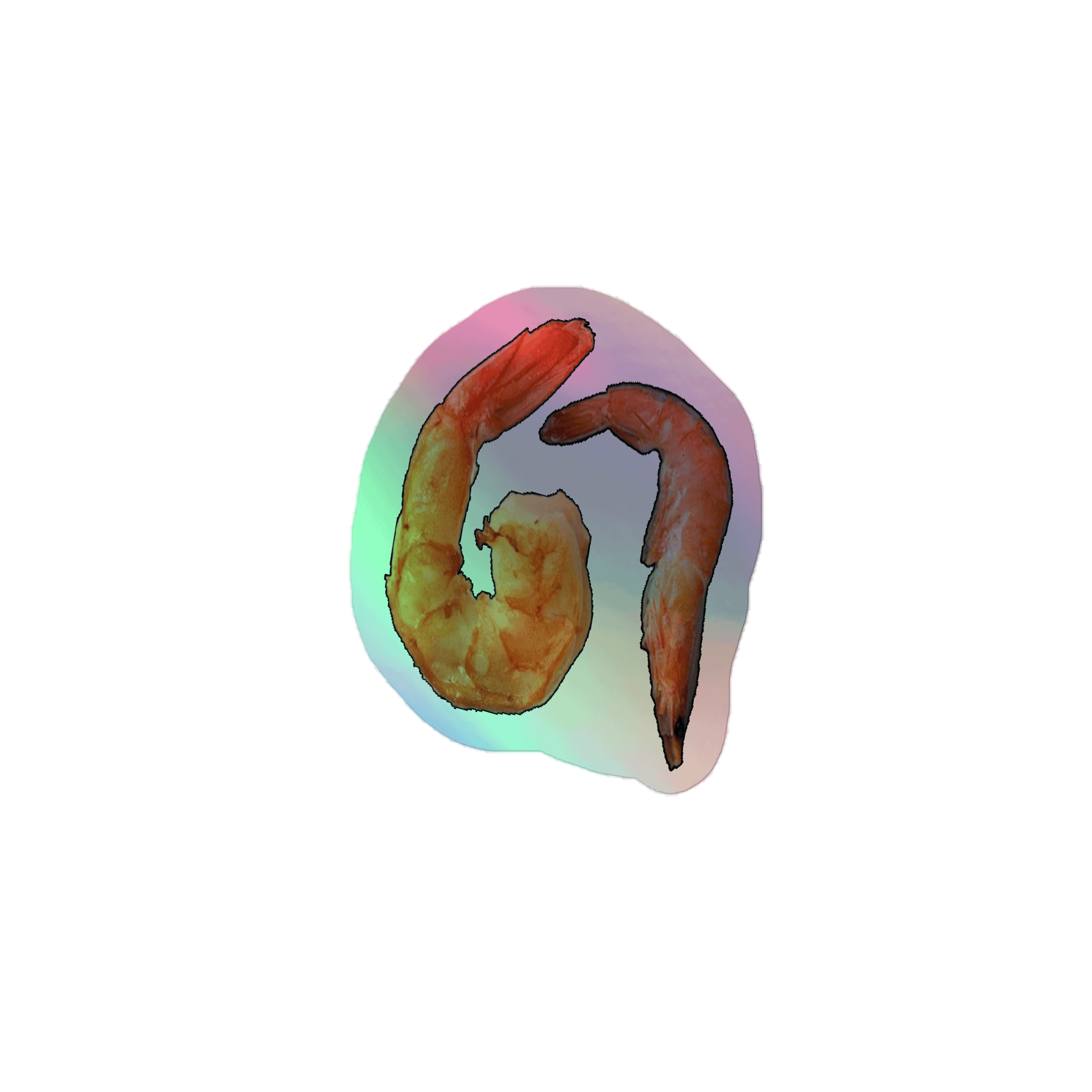 Holo Shrimp Seven Sticker product image (1)