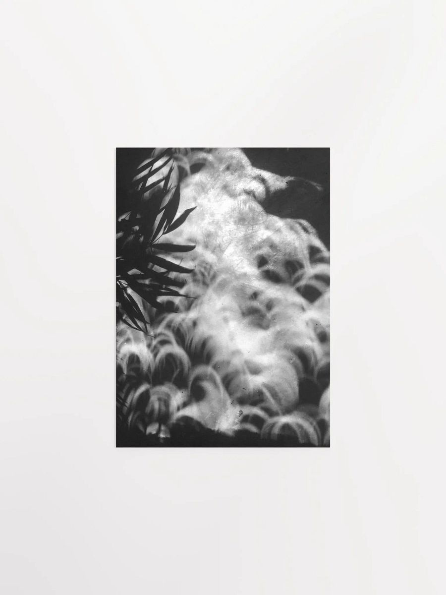 Crescents of Light from the Eclipse - Poster 2 product image (5)