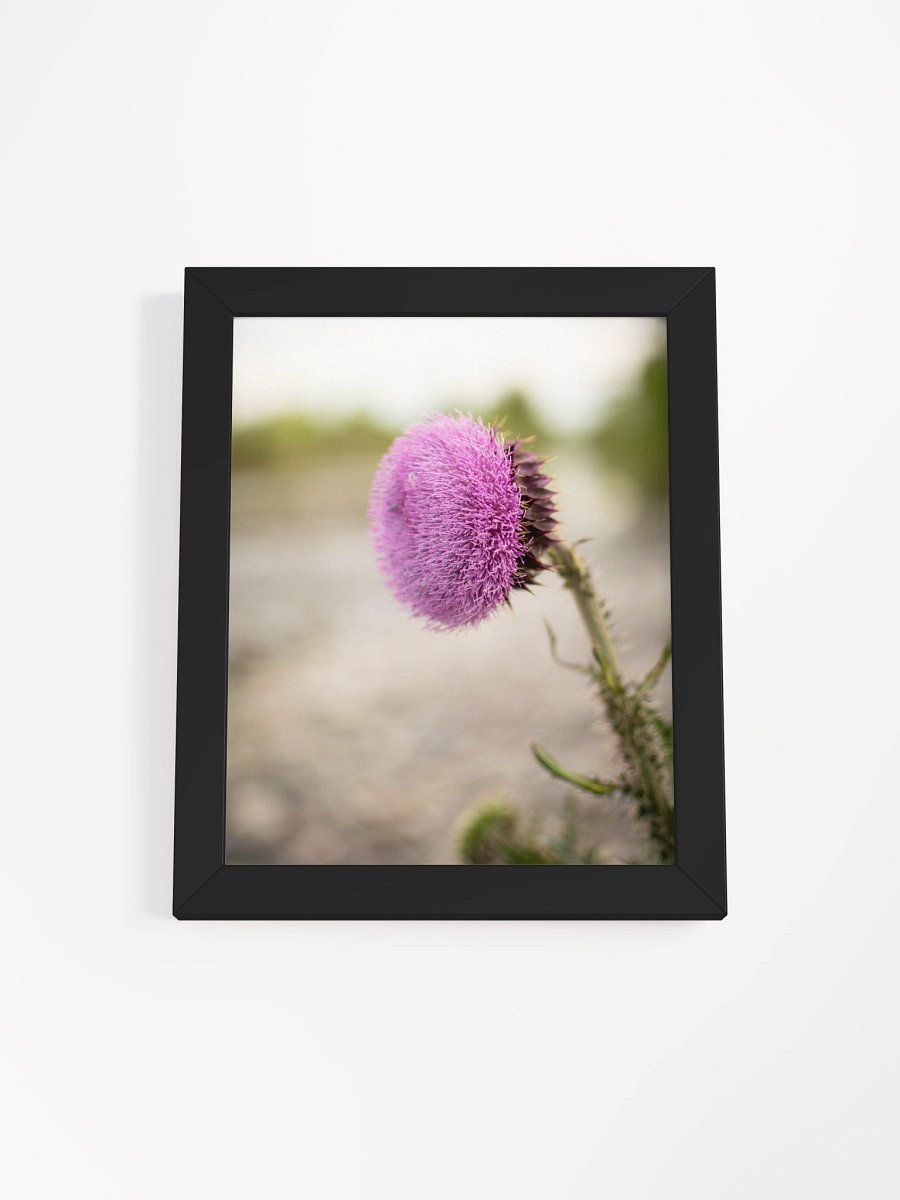 Flower - Blackfoot, Idaho product image (1)