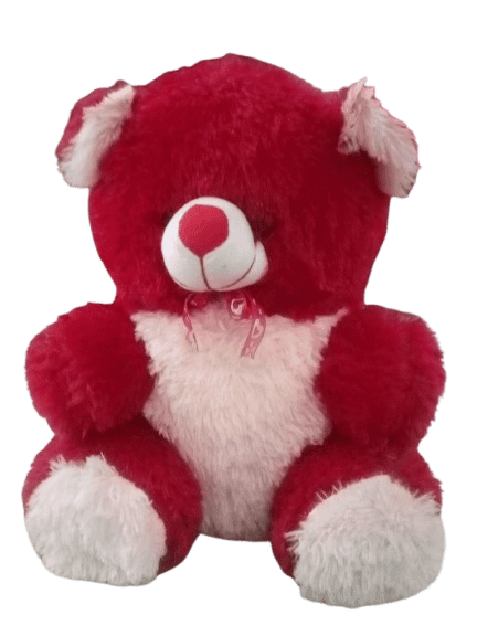 TEDDY BEAR product image (1)