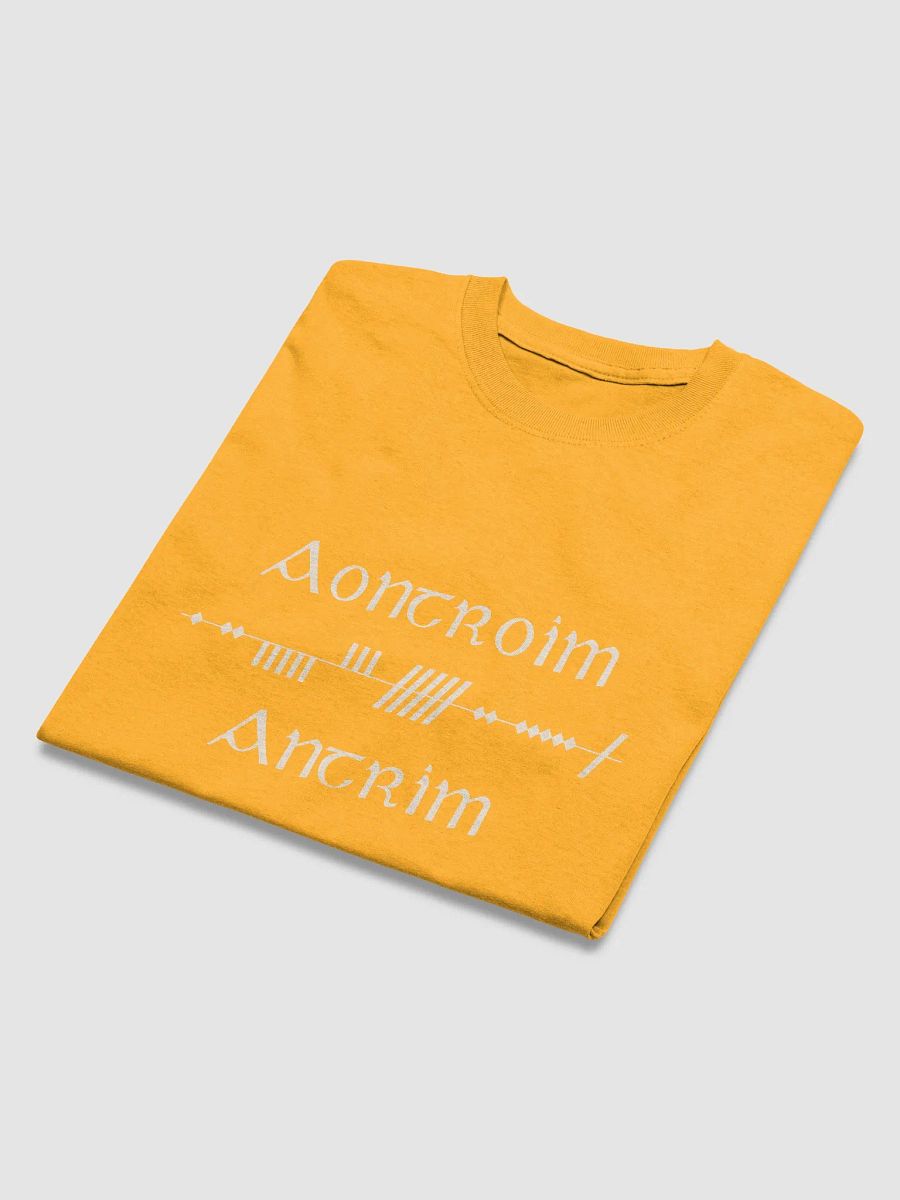 Antrim/Aontroim Scholastic style Ogham Saffron Printed T-shirt product image (4)