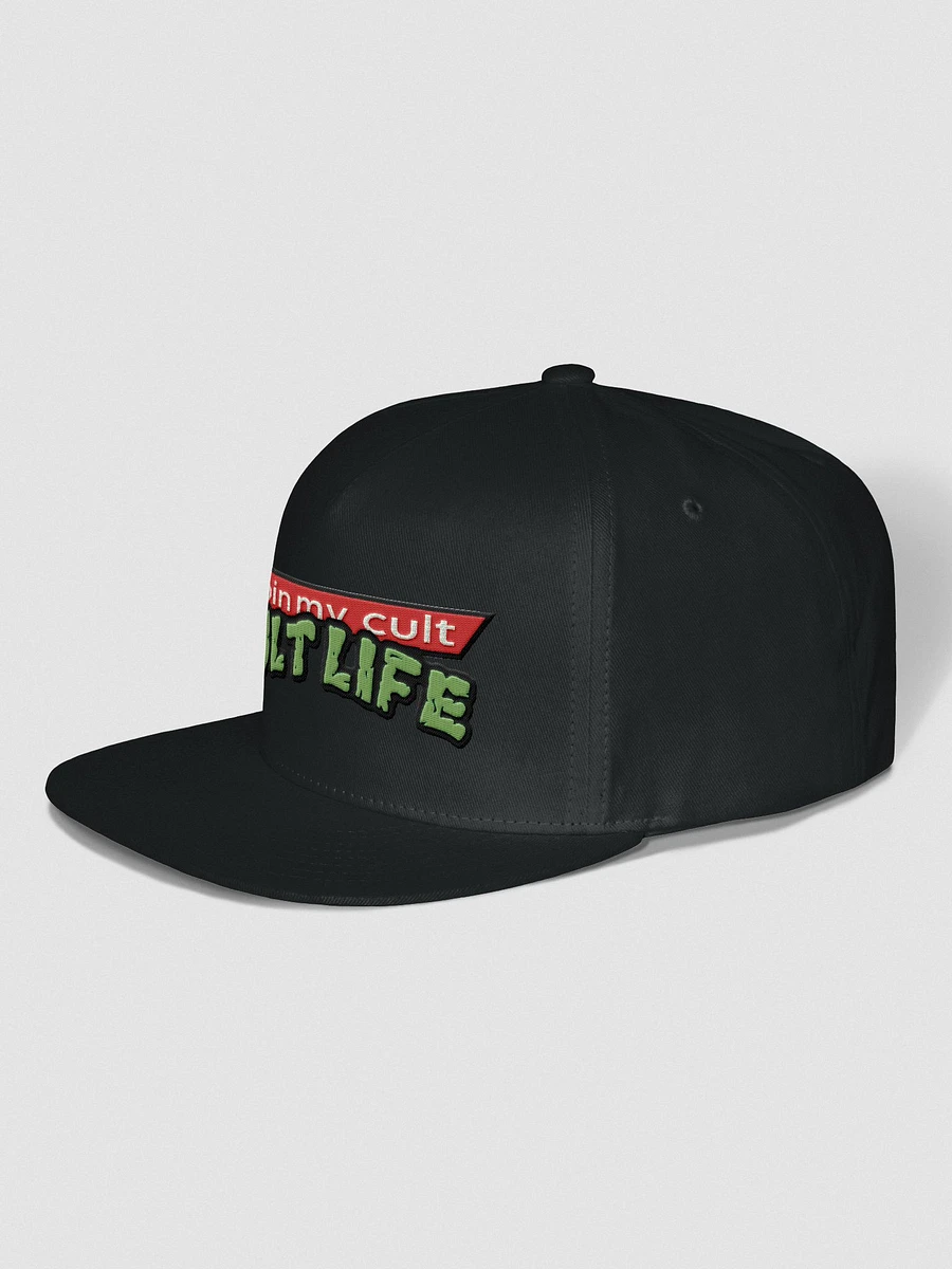CULT LIFE TURTLES HAT product image (2)