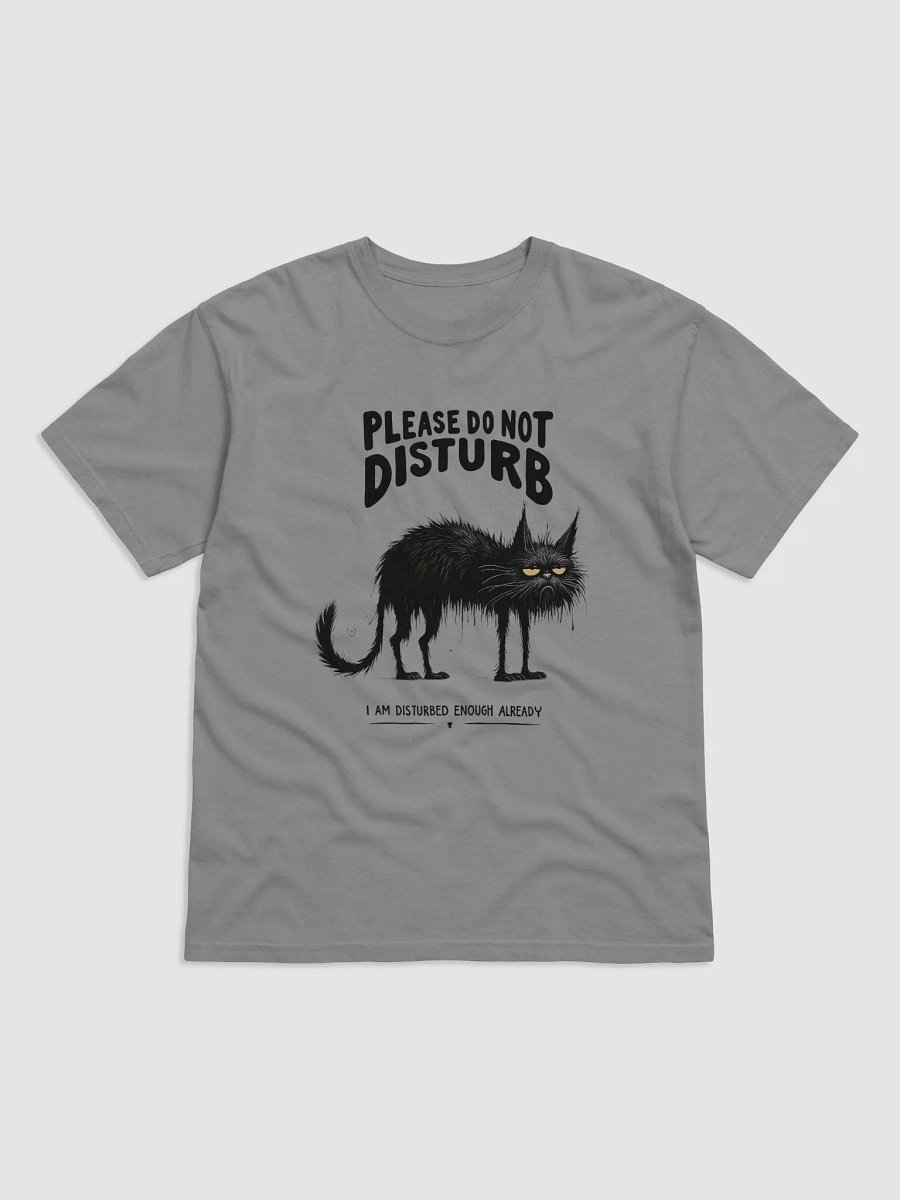 PLEASE Don't Disturb I'm Already Disturbed Enough Already" T-shirt 2 product image (2)