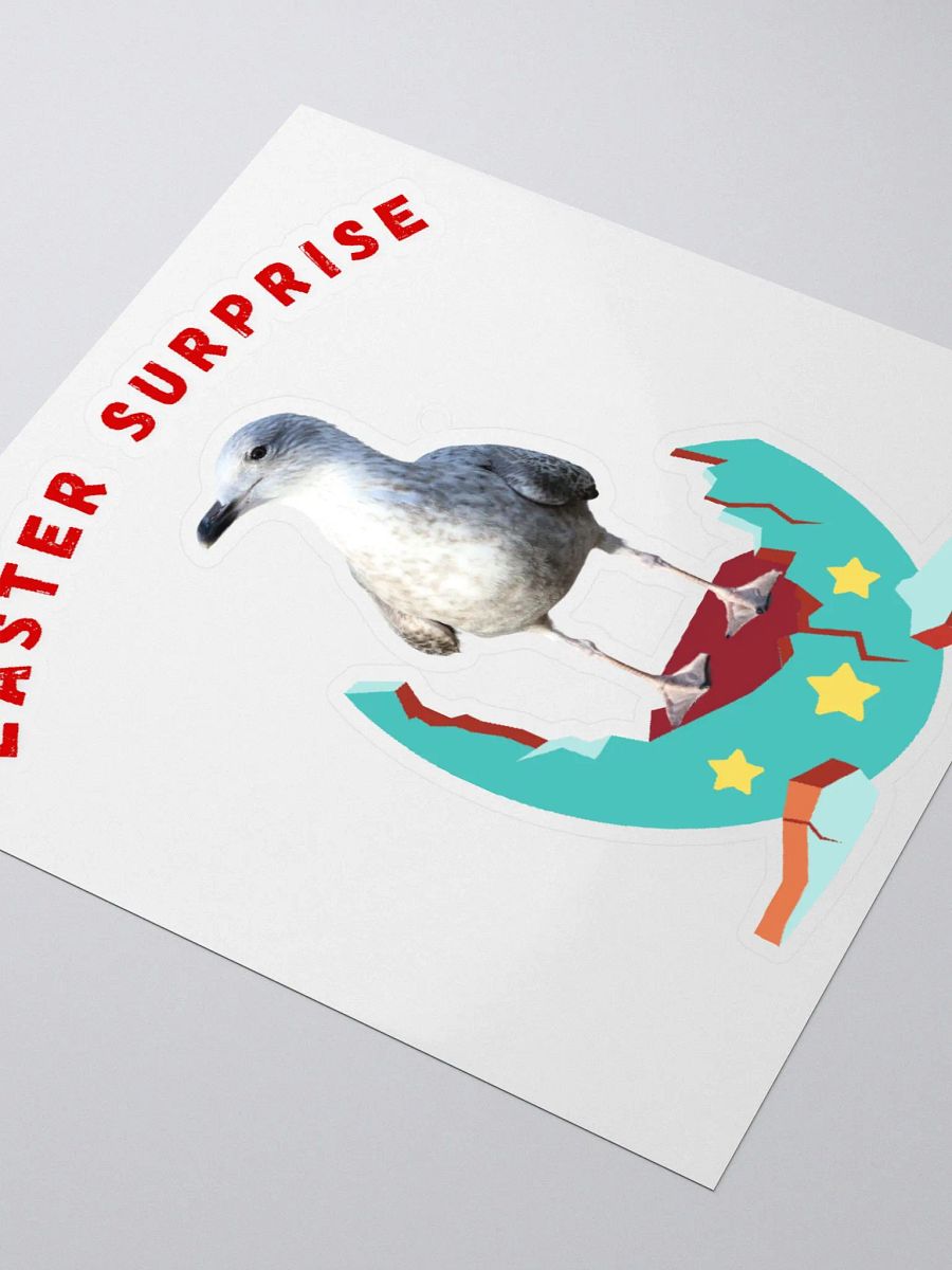 Easter Surprise - It's a Seagull Chick! product image (9)