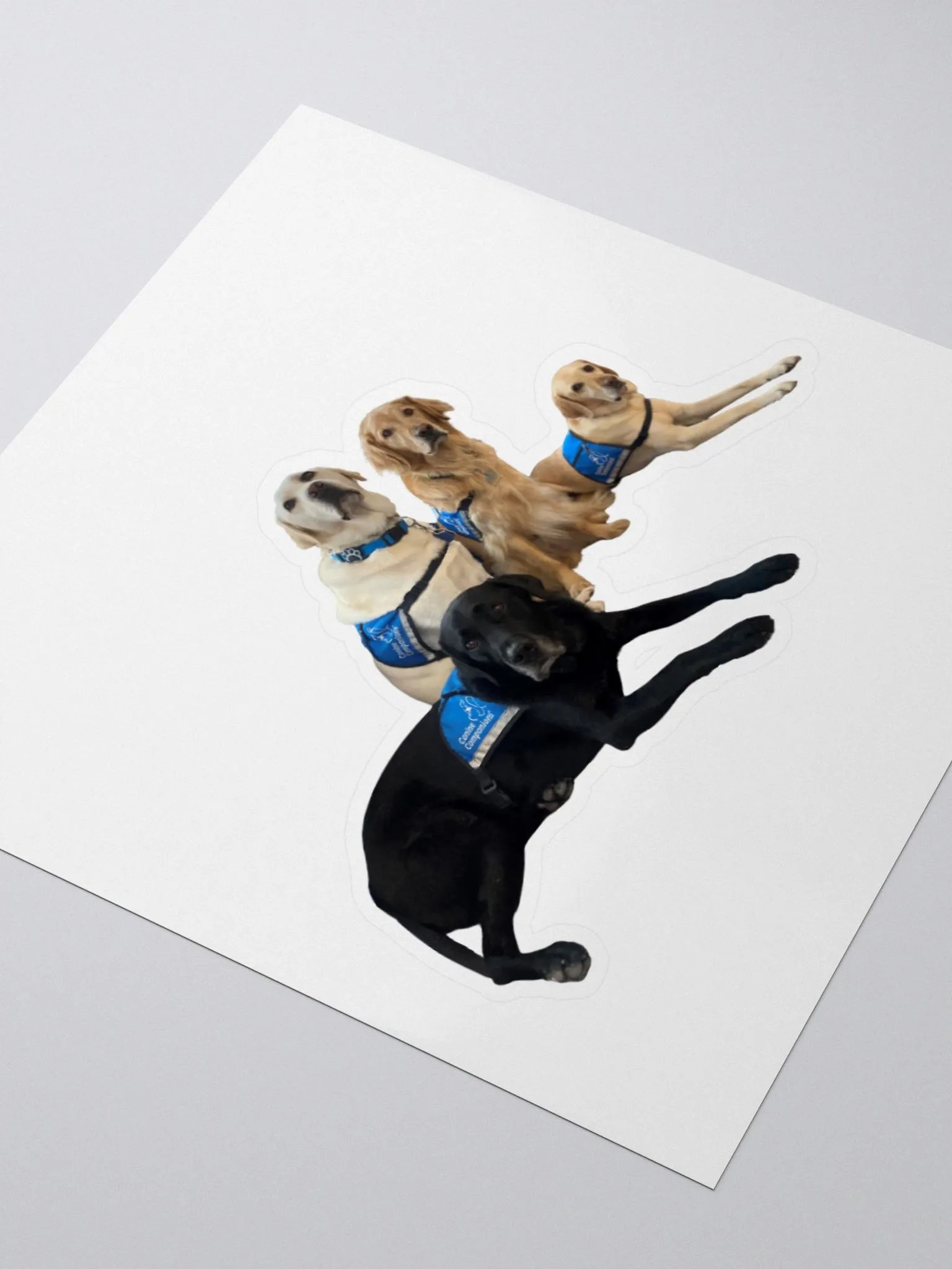 Facility dogs stickers product image (8)