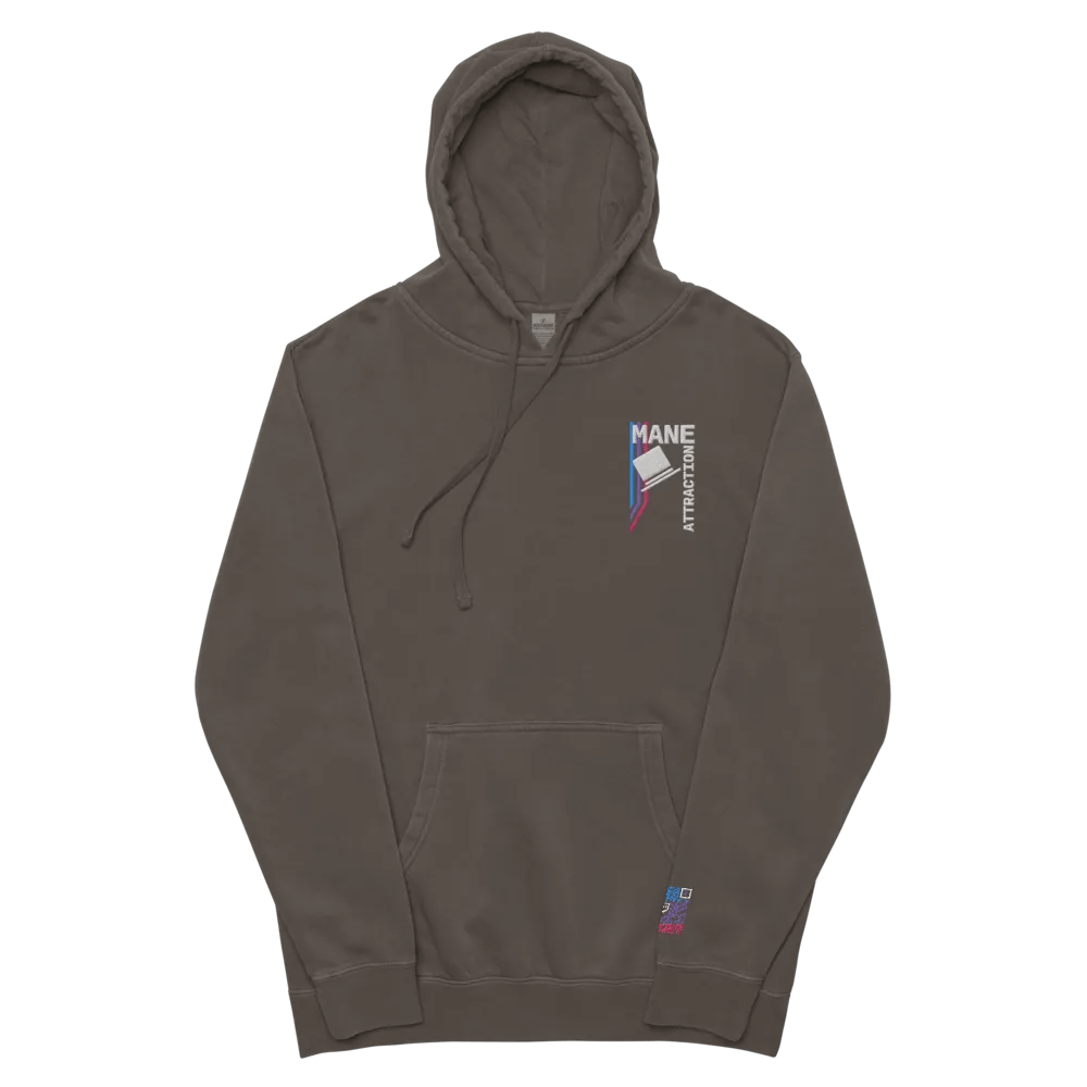 MA Hat Embroidered Hoodie product image (10)