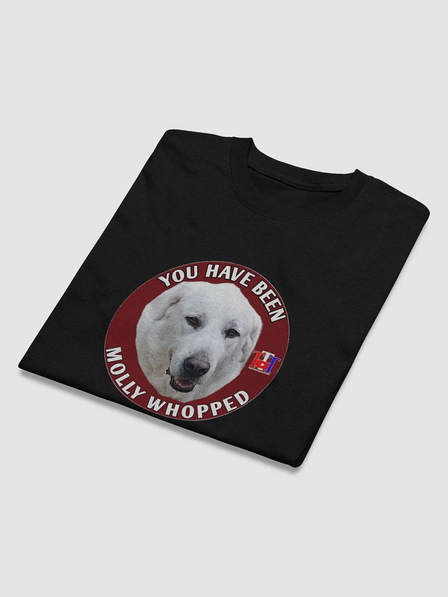 YOU HAVE BEEN MOLLY WHOPPED product image (55)