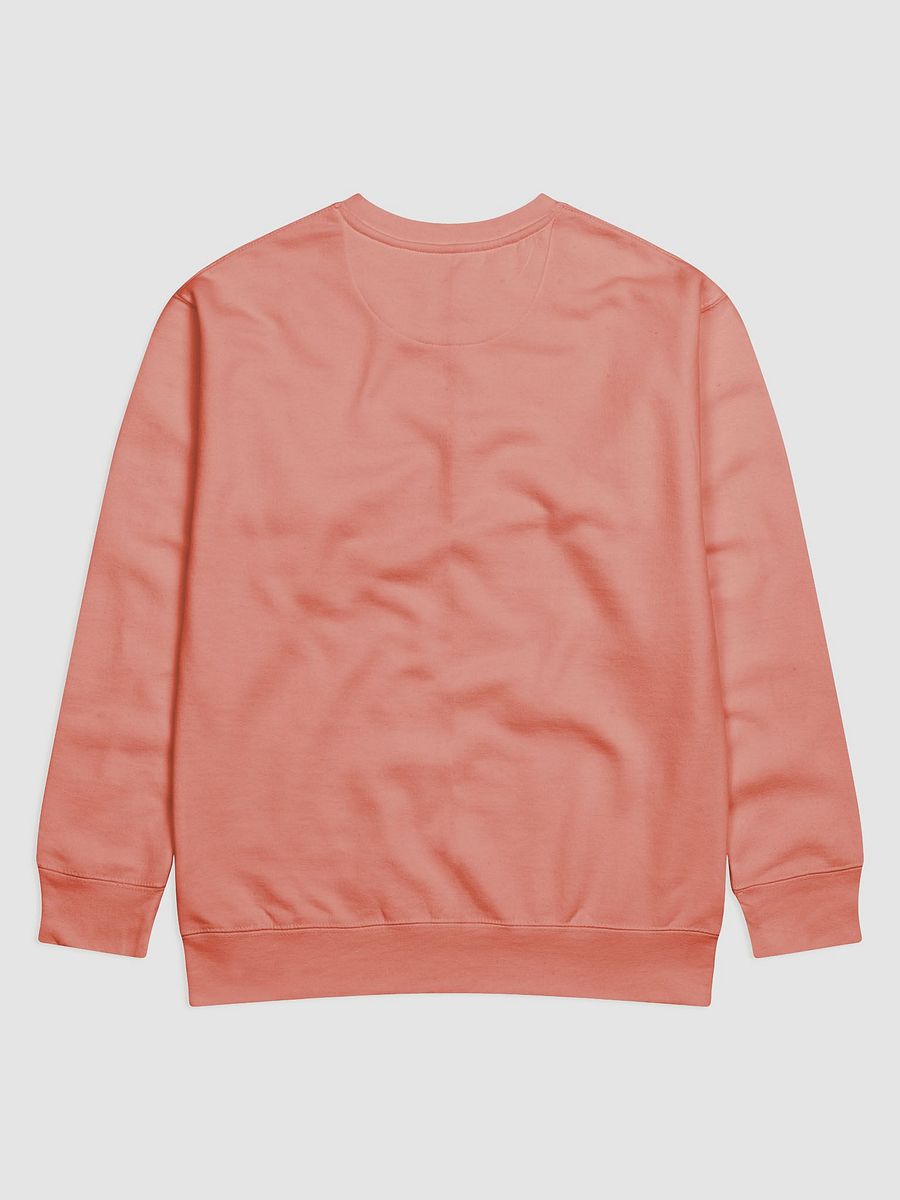 Paint the World Rainbow 2025 - Crewneck product image (18)