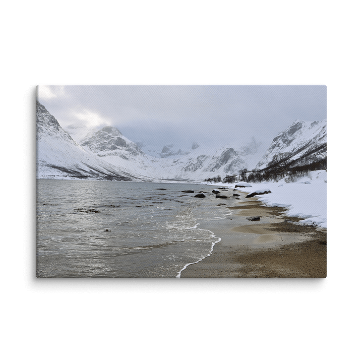 A Norwegian Fjord product image (1)