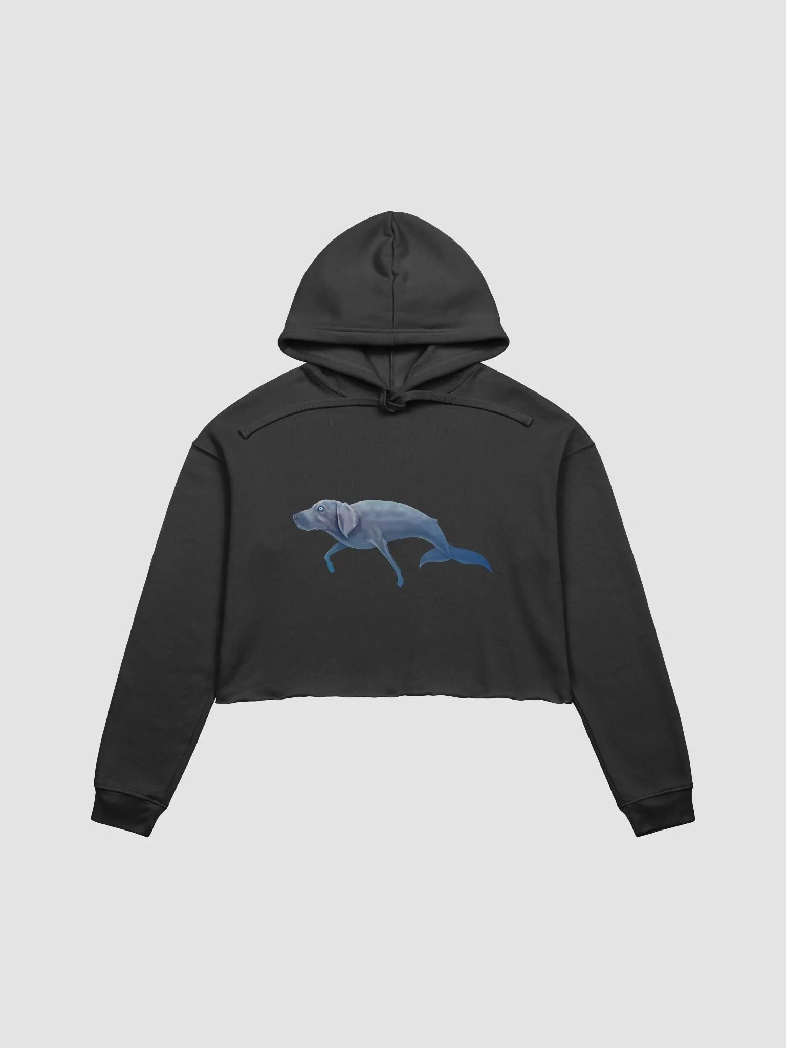 Whalemeriner Crop Hoodie product image (7)