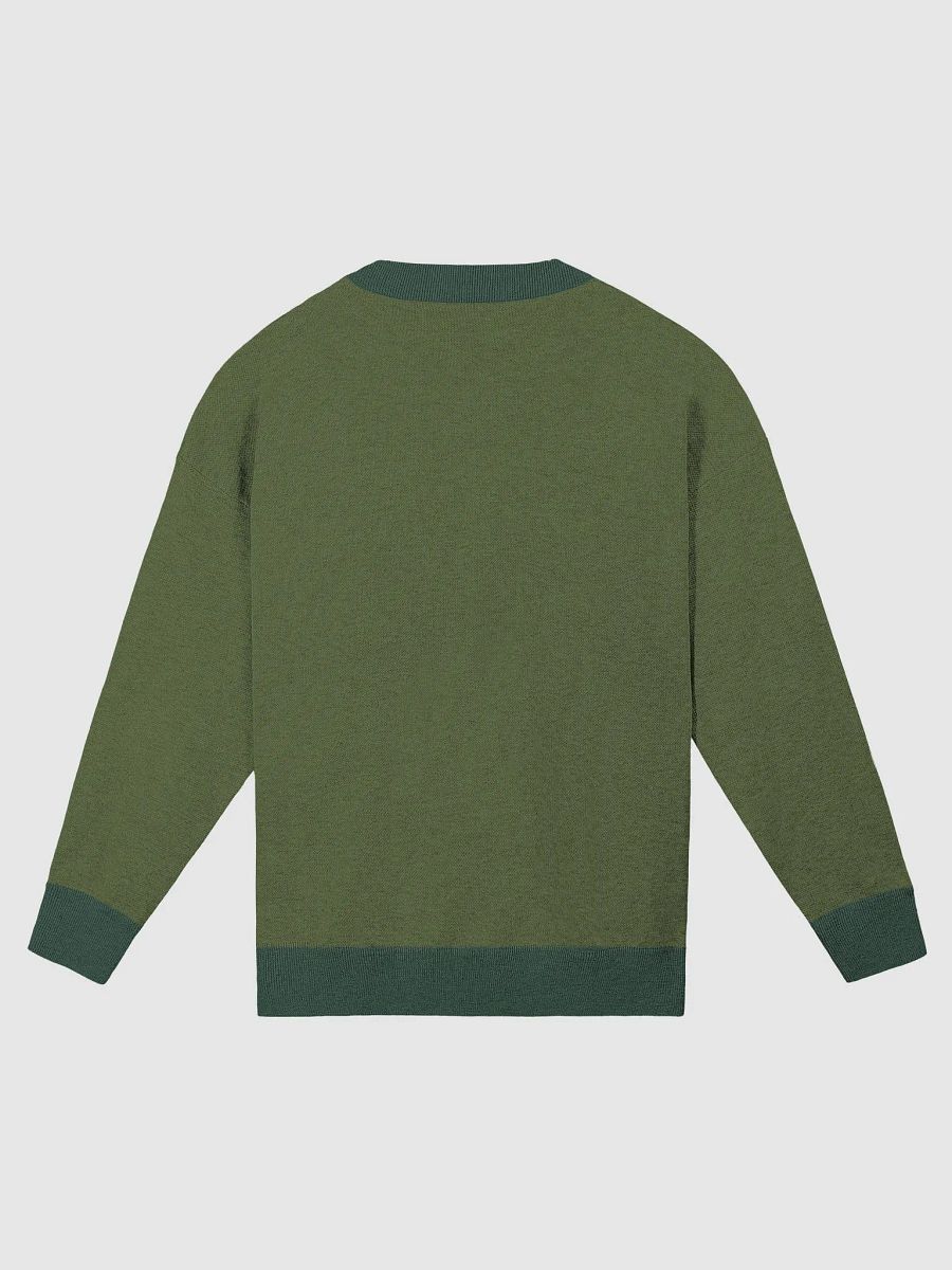 HABITUAL INSTIGATOR (lg. lined design, duotone green and white) knitwear relaxed crewneck product image (9)