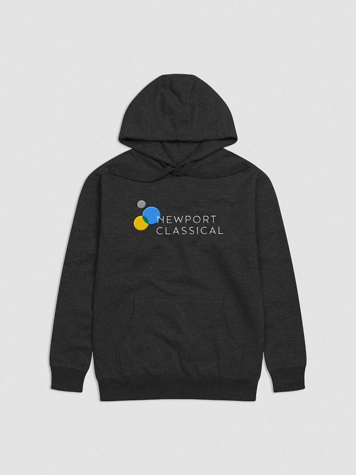 Embroidered Hoodie product image (1)