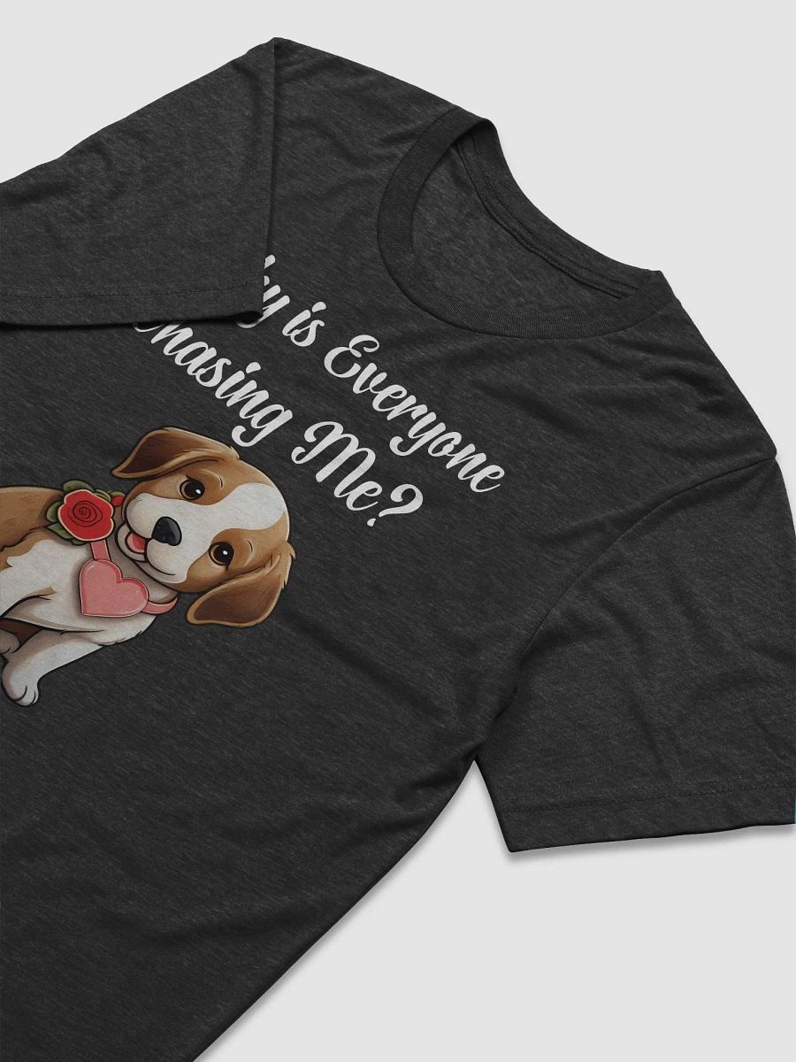 Why is Everyone Chasing Me? T-Shirt product image (13)
