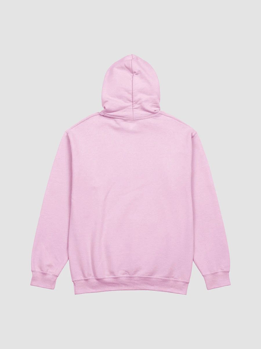 The 'Manifesting It' Hoodie product image (3)