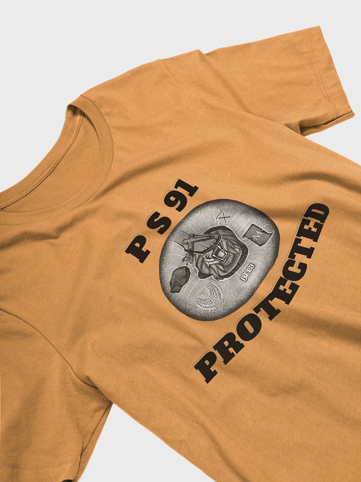 PS91 (Protected) Short sleeve Tee product image (2)